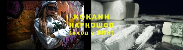 спиды Новозыбков