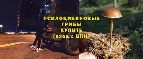 спиды Новозыбков