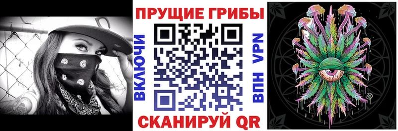 Псилоцибиновые грибы Psilocybe Игарка