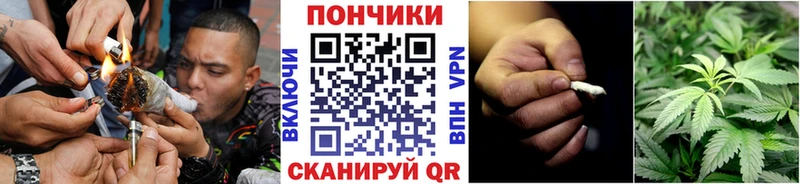 Бошки марихуана марихуана  продажа наркотиков  Игарка 